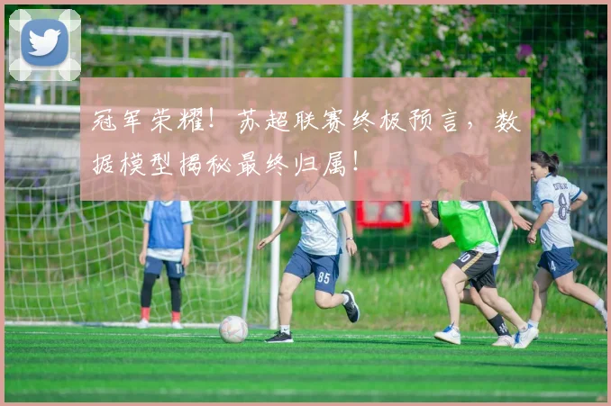 冠军荣耀！苏超联赛终极预言，数据模型揭秘最终归属！