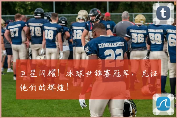 巨星闪耀！冰球世锦赛冠军，见证他们的辉煌！